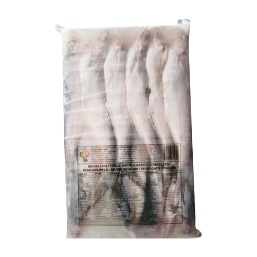 Tatka Bacha Fish- Tatka Bacha Fisch